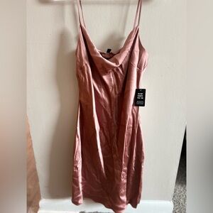 Express Strapless Blush Dress